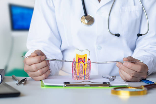 Best Weekend Emergency Dentist in Freeland, MI
